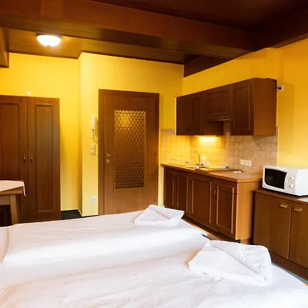 Апартаменты Haus Anna Appartementhaus Бад Кляйнкирххайм